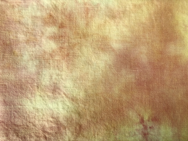Apricot