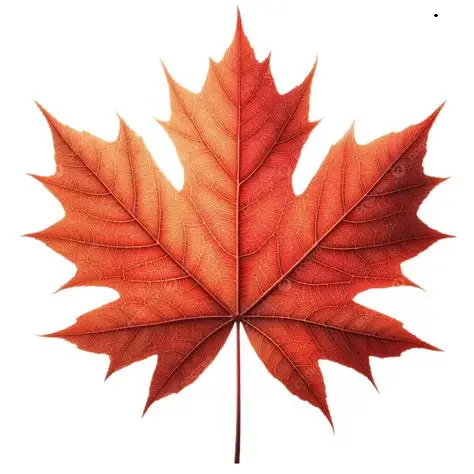 Canadian maple leaf